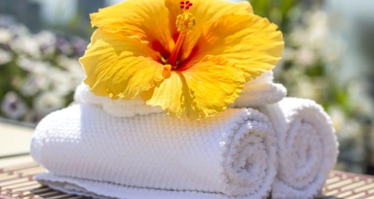 How Do Hotels Keep Towels Soft: A Comprehensive Guide