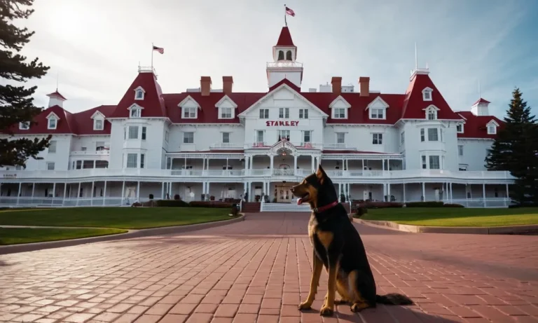 Can I Bring My Dog To The Stanley Hotel? A Comprehensive Guide