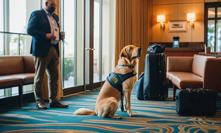 Do Hotels Have To Allow Emotional Support Animals In California?