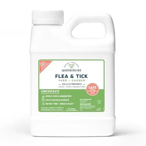 Natural Essential Oil Formula - 16 oz