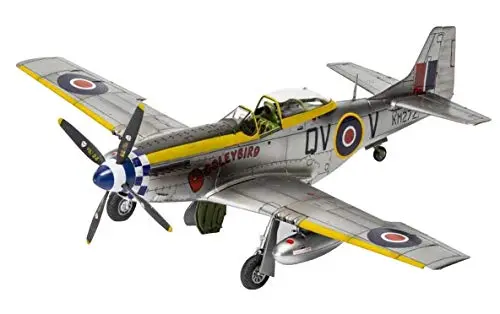 1/48 Scale WWII Fighter