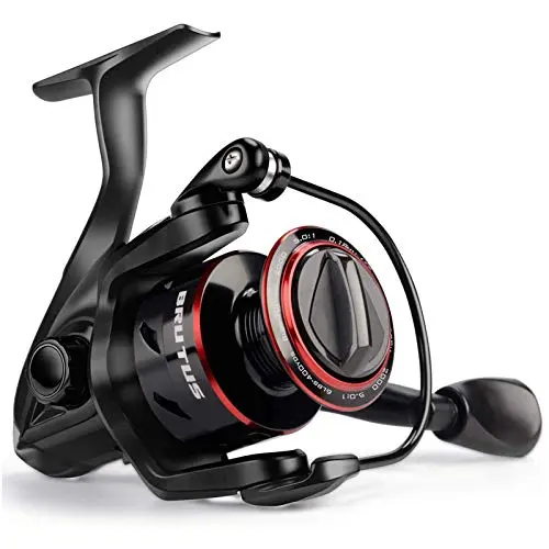 Spinning Reel, Size 2000