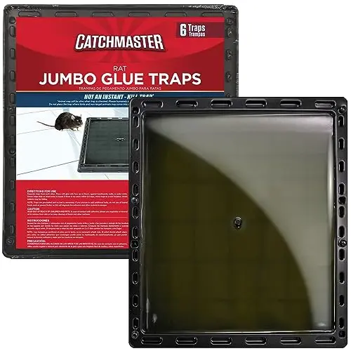 Large Plastic Tray - 6 Pack