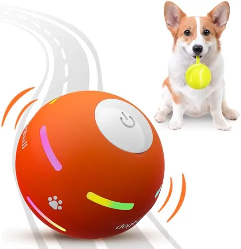 Motion Activated Rolling Toy