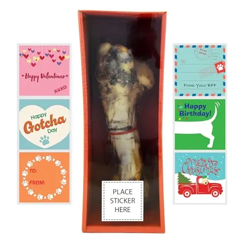 12-14 Inch Natural Beef Bone