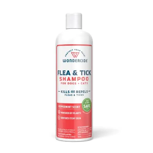 Plant-Powered Natural Formula