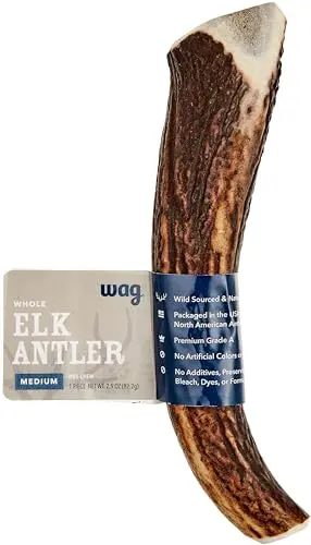 Naturally Shed Whole Antler