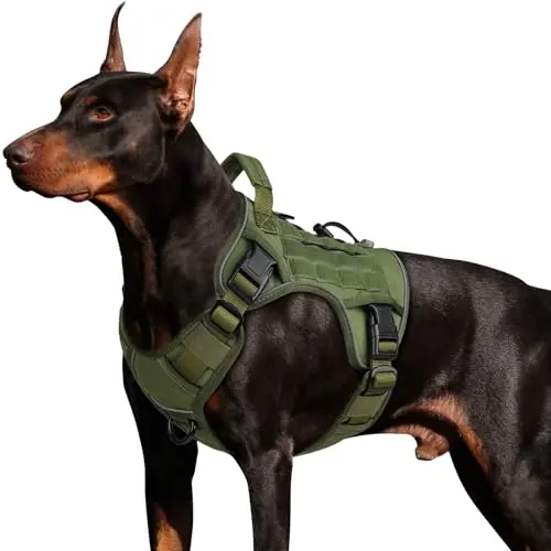 Heavy Duty No Pull Dog Harness