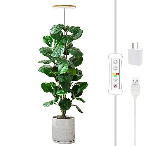 Height Adjustable Full Spectrum