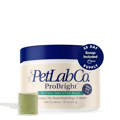 Revolutionary Dental Powder