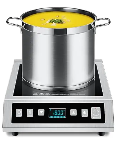 Professional Portable Burner
