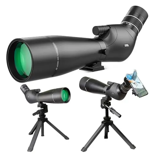Dual Focusing System