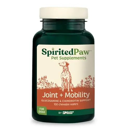 Joint Support Supplement