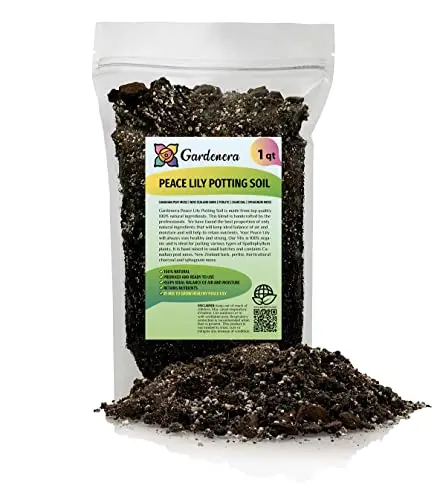 Premium International Ingredients