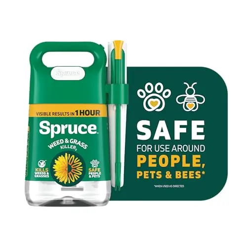 Snap & Spray Starter Kit