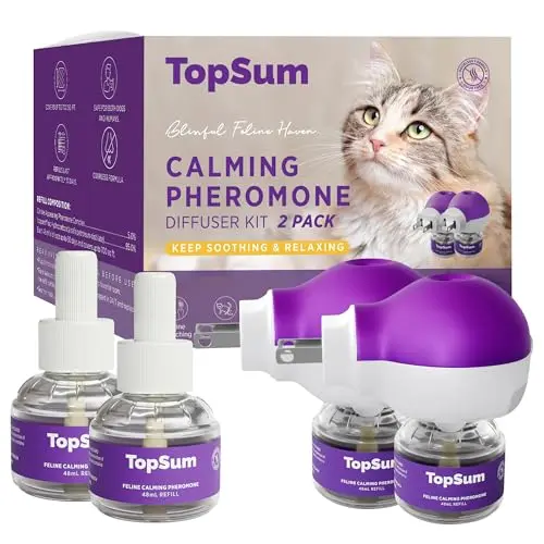 Premium 2-Pack Diffuser Set